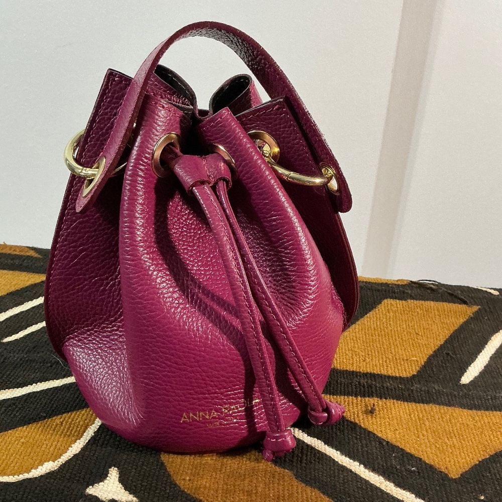Anna Paola bag